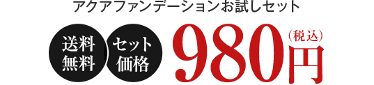 送料無料 セット価格 980円（税込）