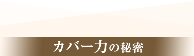 カバー力の秘密